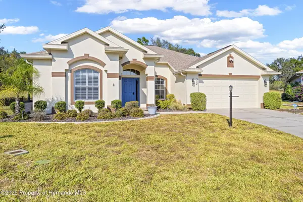332 Mcintosh Court, Spring Hill, FL 34609