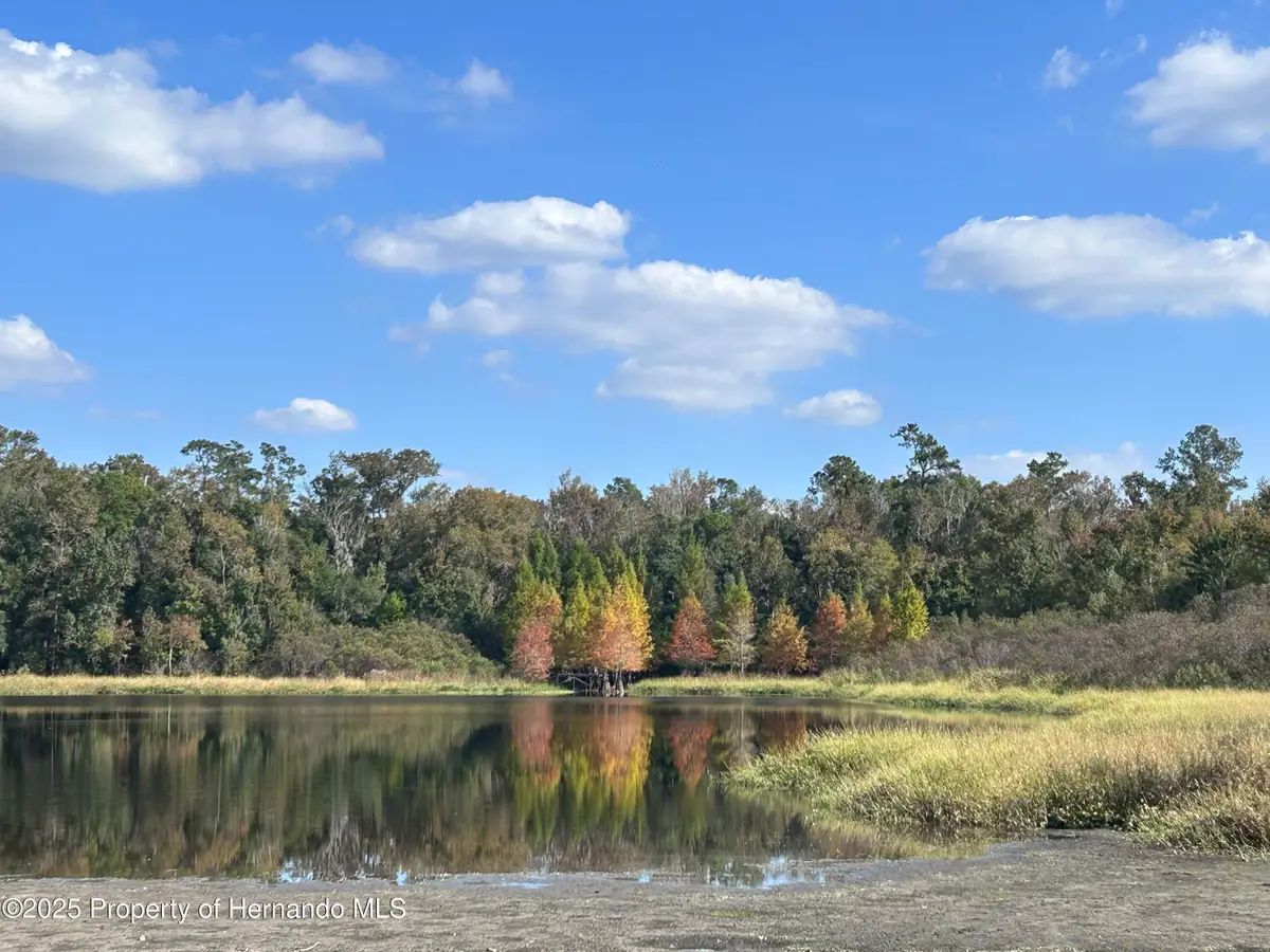 2092 Culbreath, Brooksville, FL 34602 - Image #1