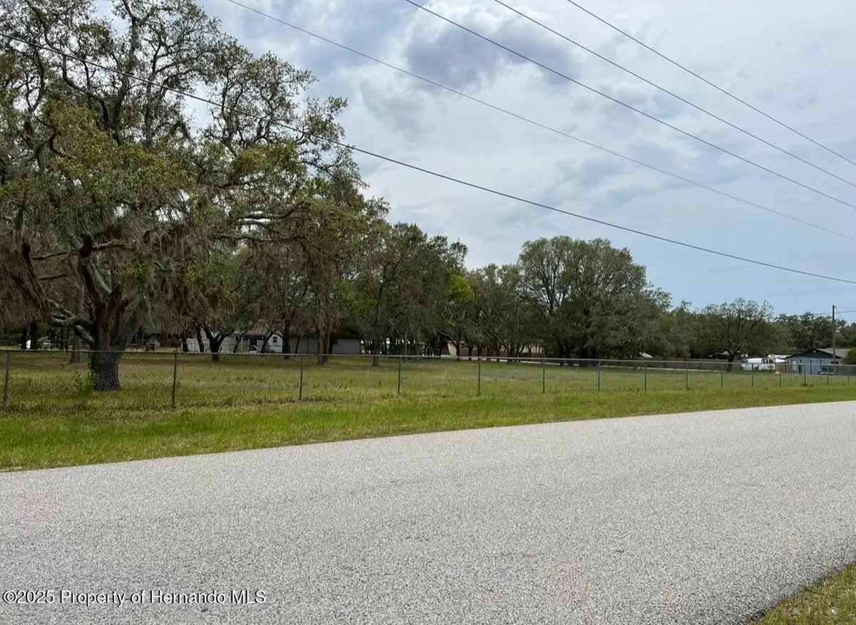 00 Fringe Tree Drive, Shady Hills, FL 34610 - Image #1