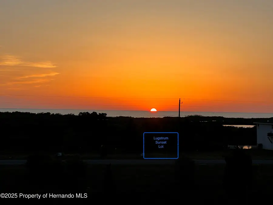 LOT 19 Lugustrum Drive, Hernando Beach, FL 34607 - Image #3