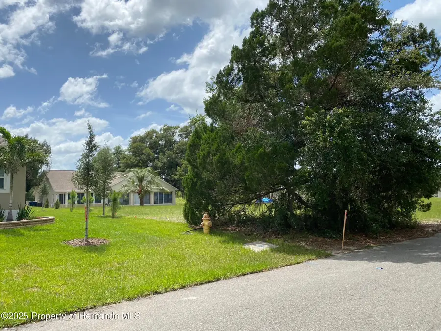 5449 Chestnut Ridge Road, Dade City, FL 33523 - #3