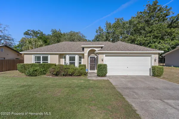9289 Chilton Street, Spring Hill, FL 34608
