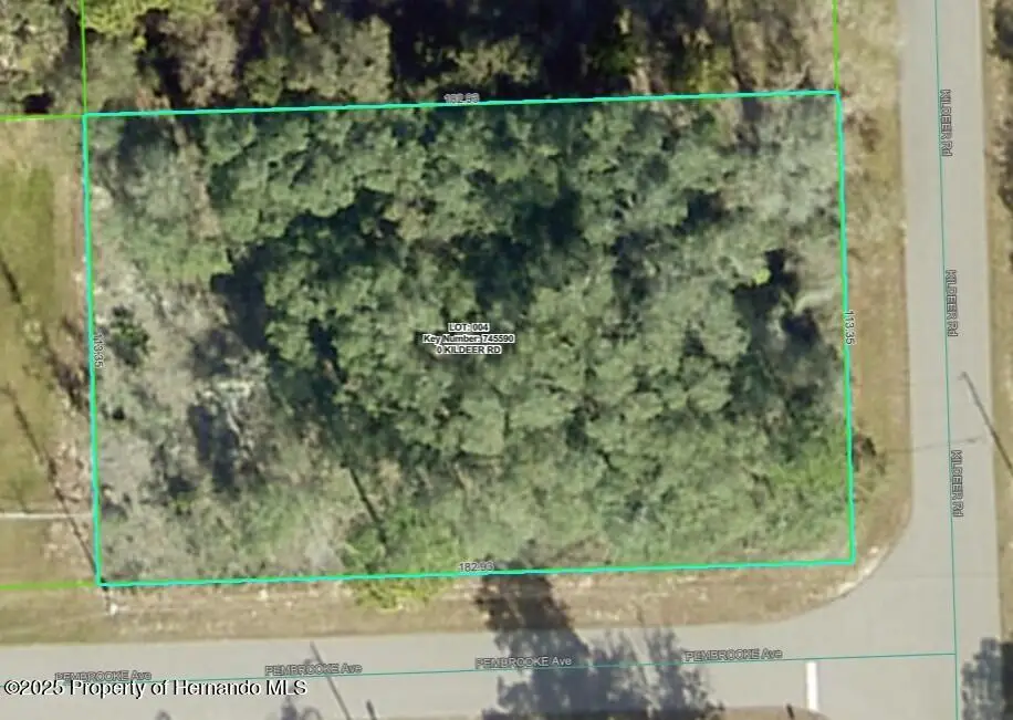 0 Kildeer Road, Weeki Wachee, FL 34614 - Image #1