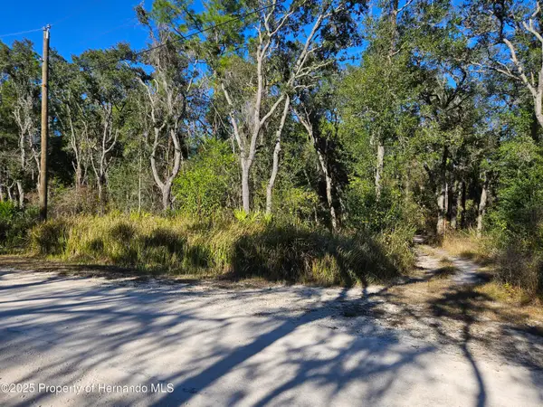 0 Berryhill Drive, Webster, FL 33597