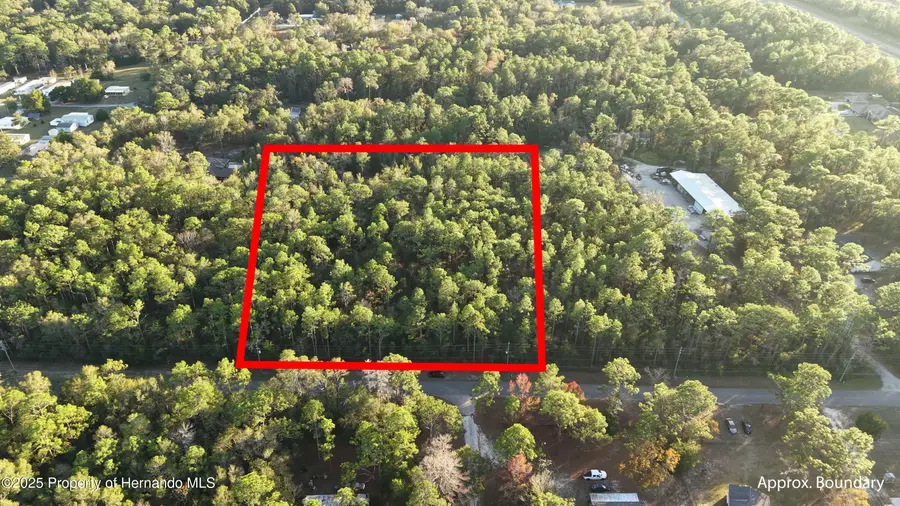 Lot 4+ Blair Avenue, Brooksville, FL 34604 - Image #2