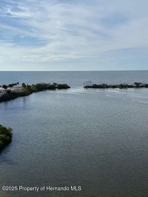 6035 Sea Ranch Drive, Hudson, FL 34667