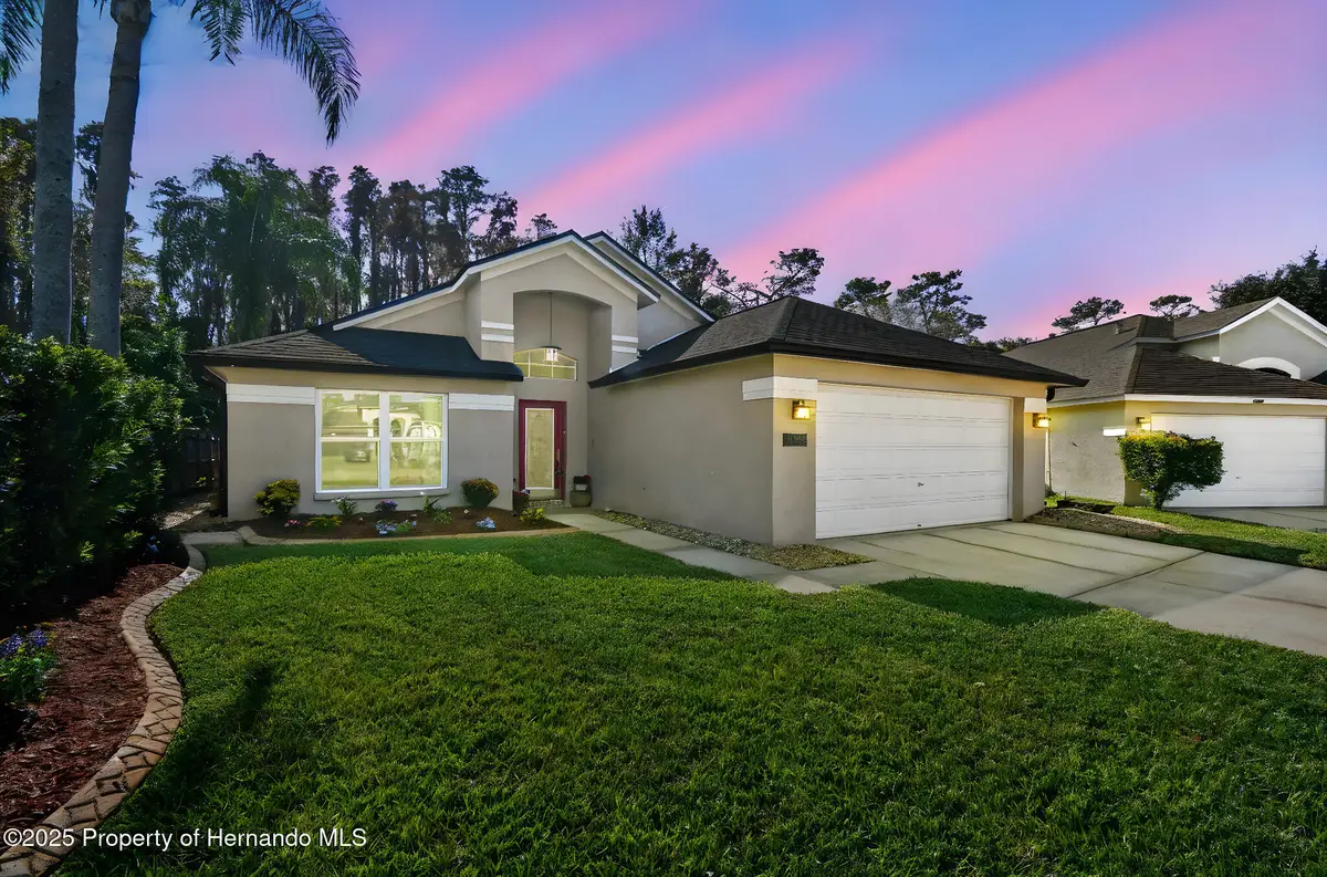 29228 Birds Eye Drive, Wesley Chapel, FL 33543 - Image #1