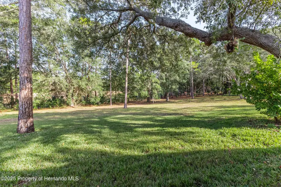 3008 Whispering Pines Court, Spring Hill, FL 34606 - Image #3