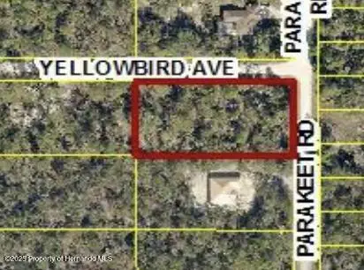 18131 Parakeet Road, Brooksville, FL 34614 - #1