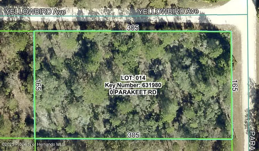 18131 Parakeet Road, Brooksville, FL 34614 - #2