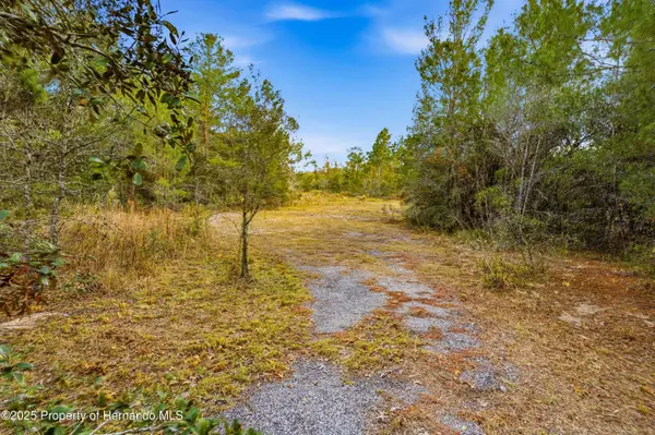 0 Backwoods Way, Brooksville, FL 34613