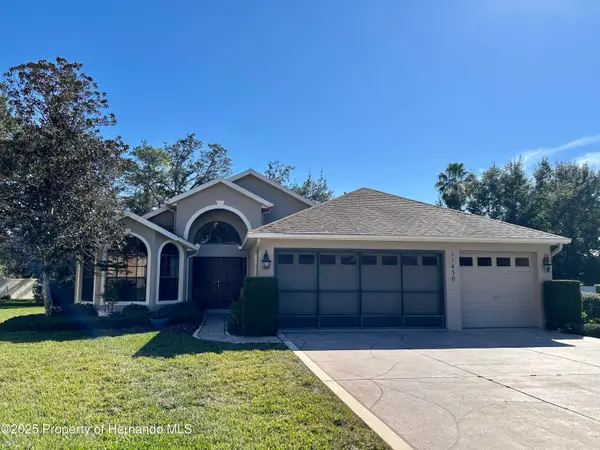 11430 Kingstree Court, Spring Hill, FL 34609