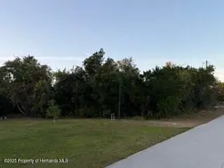 5301 Sandra Drive, Weeki Wachee, FL 34613