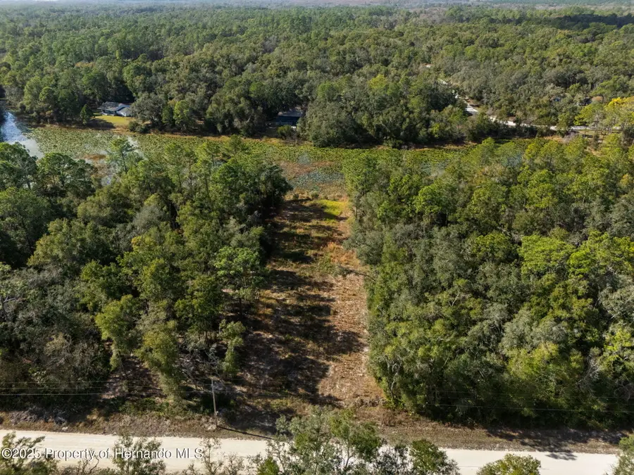 0 Alloy Street, Webster, FL 33597 - Image #2