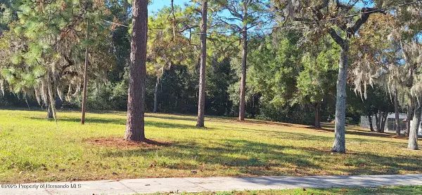 0 Ridge Manor Boulevard, Dade City, FL 33523