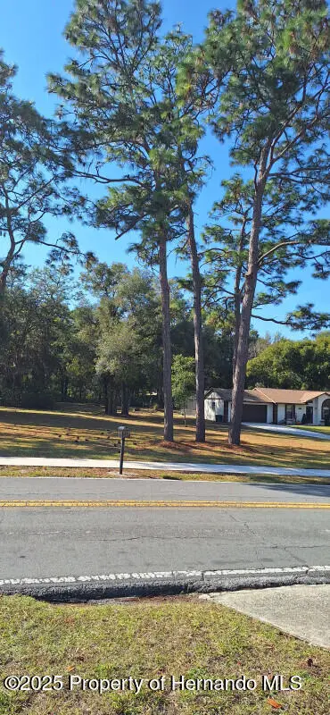 0 Ridge Manor Boulevard, Dade City, FL 33523 - Image #2