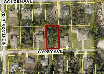 10439 Gypsy Avenue, Weeki Wachee, FL 34613 - Image #1