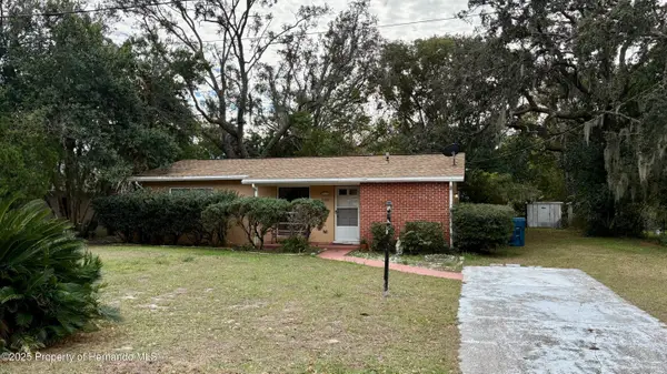 6224 Alderwood Street, Spring Hill, FL 34606