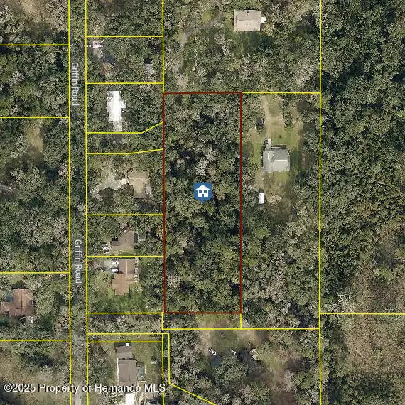 0 Griffin Road, Brooksville, FL 34601 - Image #1