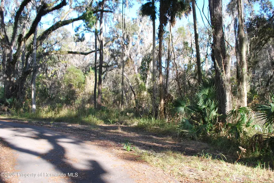 0 Griffin Road, Brooksville, FL 34601 - Image #2