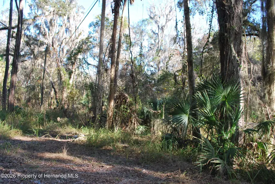 0 Griffin Road, Brooksville, FL 34601 - Image #3