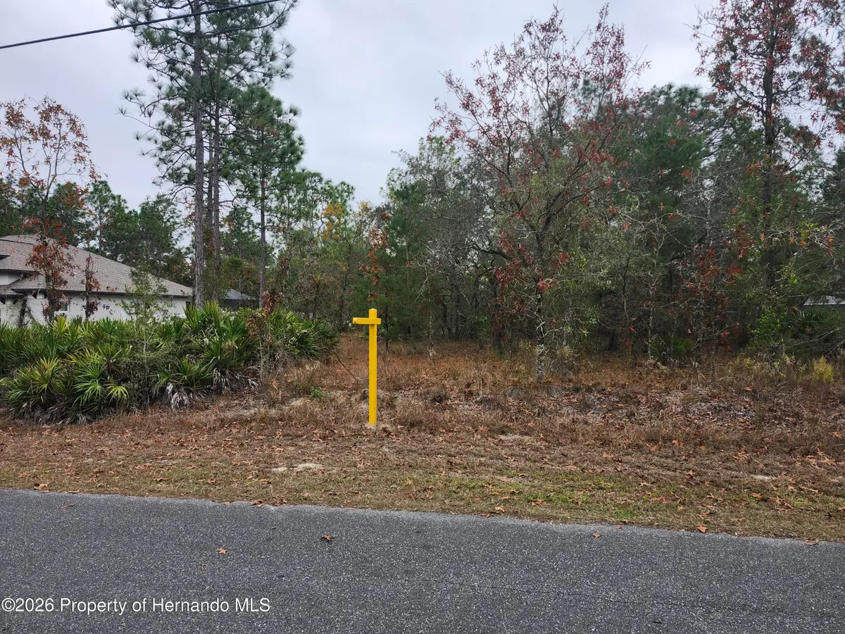 0 Furley Avenue, Brooksville, FL 34613 - Image #1