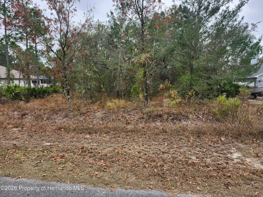 0 Furley Avenue, Brooksville, FL 34613 - Image #2