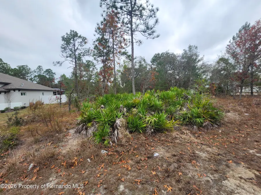 0 Furley Avenue, Brooksville, FL 34613 - Image #3