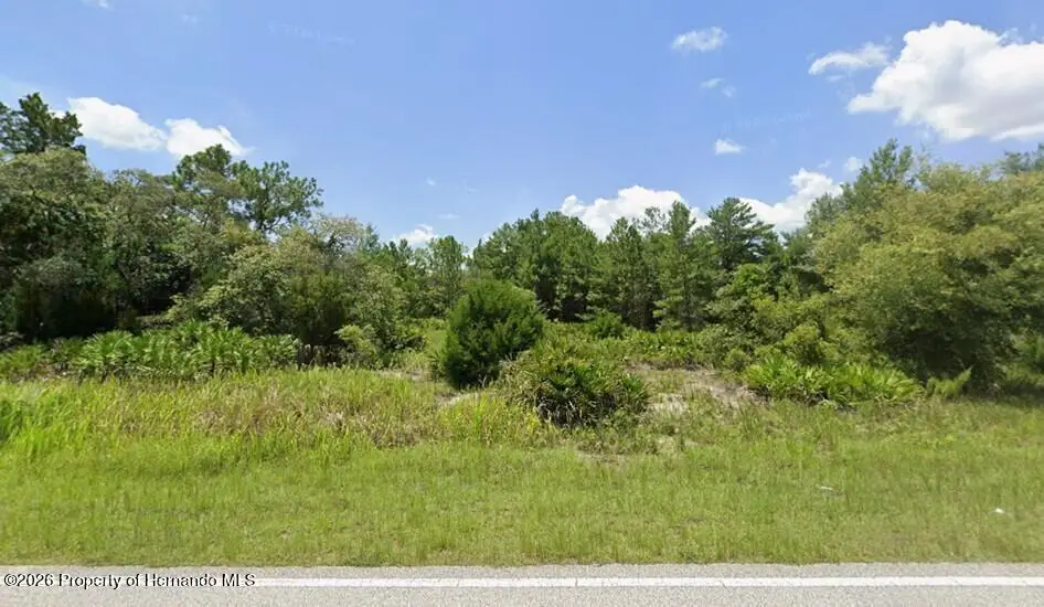 10312 Fulton Avenue, Weeki Wachee, FL 34613 - Image #1