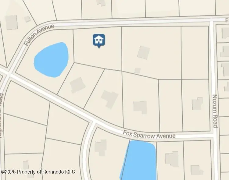 10312 Fulton Avenue, Weeki Wachee, FL 34613 - Image #2