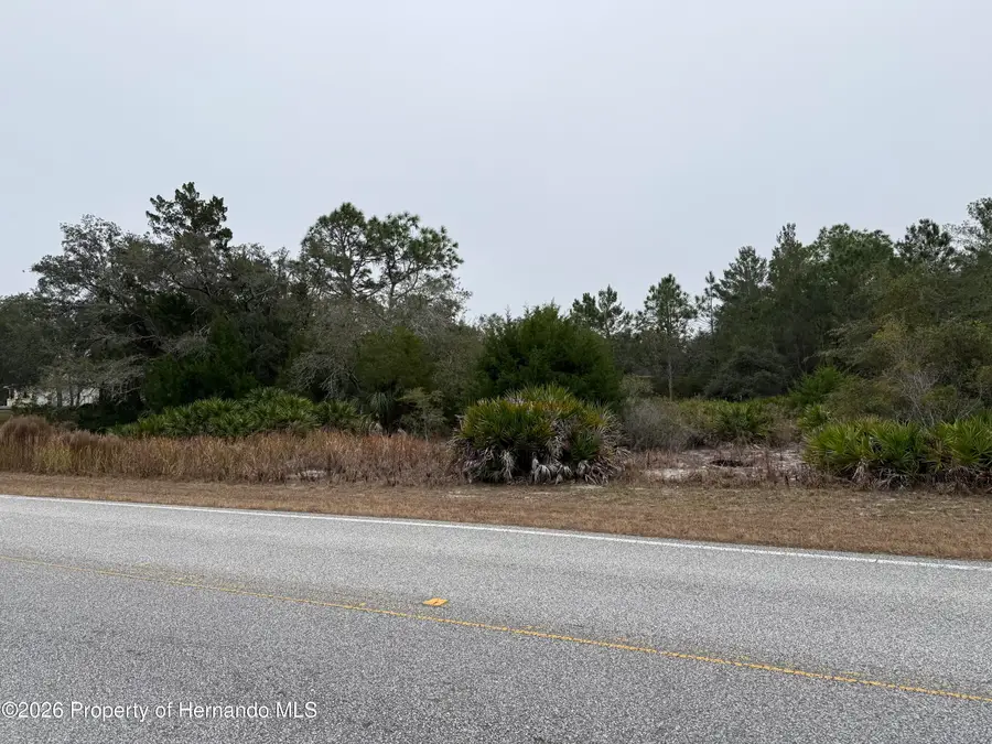 10312 Fulton Avenue, Weeki Wachee, FL 34613 - Image #3