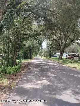 4175 S Illiana Terrace, Inverness, FL 34452 - Image #3