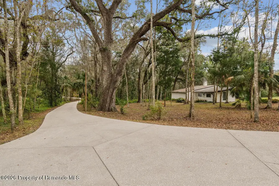 26262 Lake Lindsey Road, Brooksville, FL 34601 - Image #3