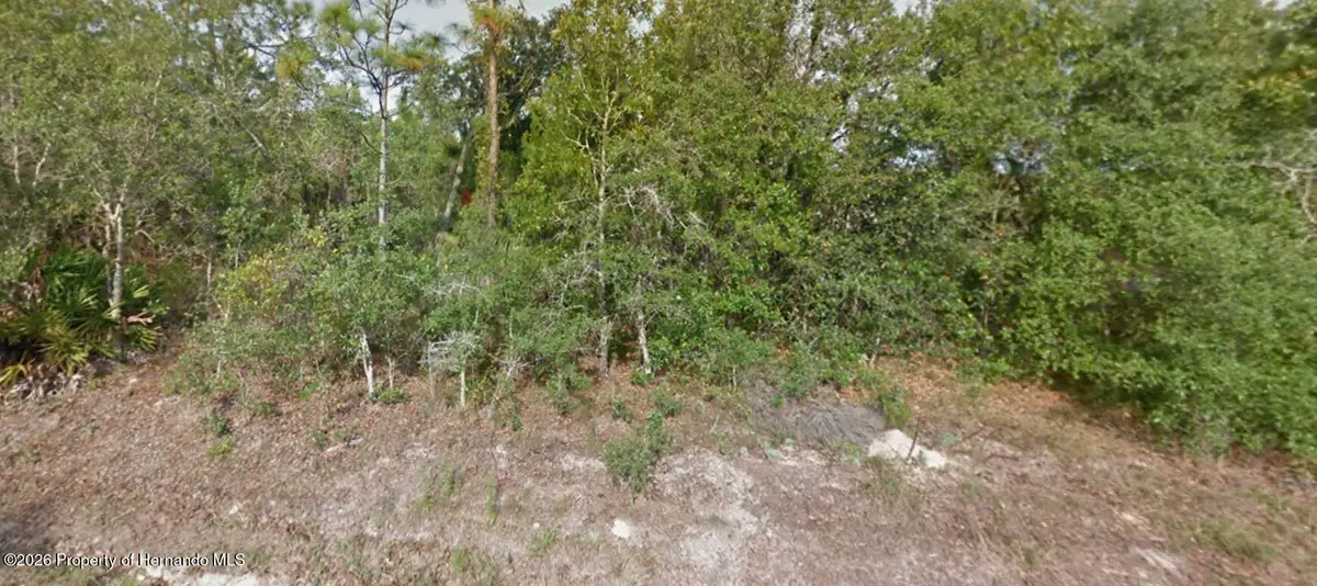 8191 Christopher Lane, Weeki Wachee, FL 34613 - Image #1