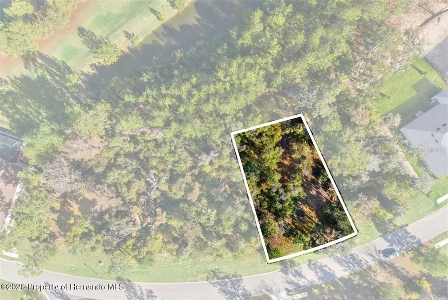 6633 Summit View Drive, Brooksville, FL 34601 - #3