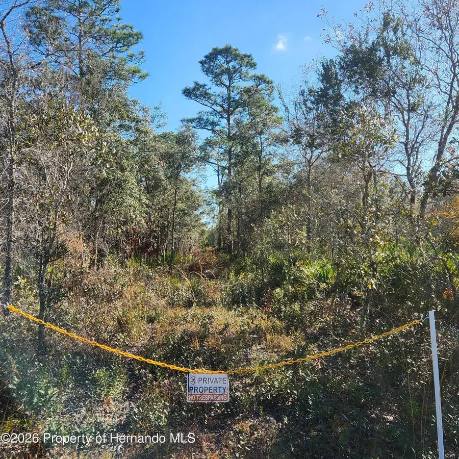 0 Quiet Road, Weeki Wachee, FL 34614 - Image #2