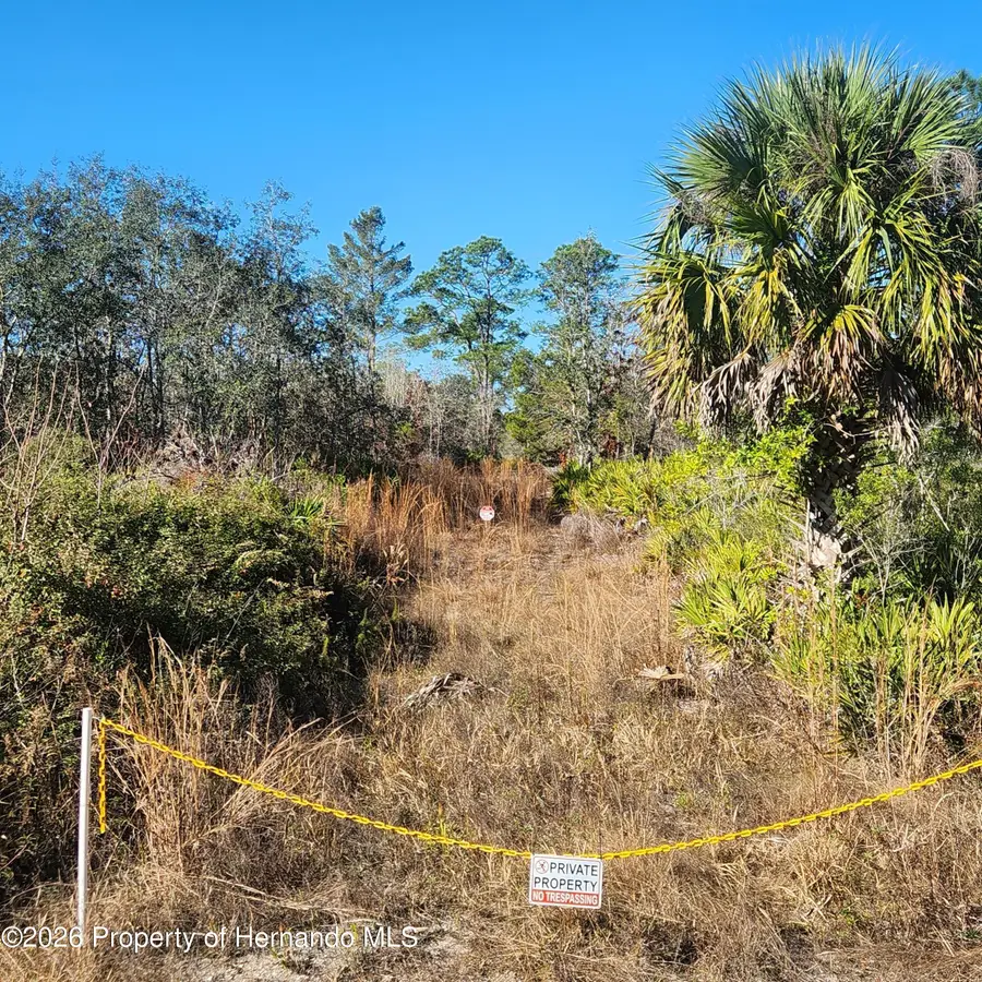 0 Quiet Road, Weeki Wachee, FL 34614 - Image #3