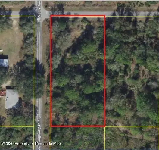11798 W Cornflower Drive, Crystal River, FL 34428 - Image #1
