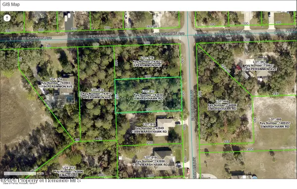 0 Marsh Hawk Road, Weeki Wachee, FL 34614