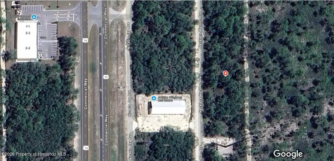 17108 Necklace Warbler Avenue, Brooksville, FL 34614 - #1