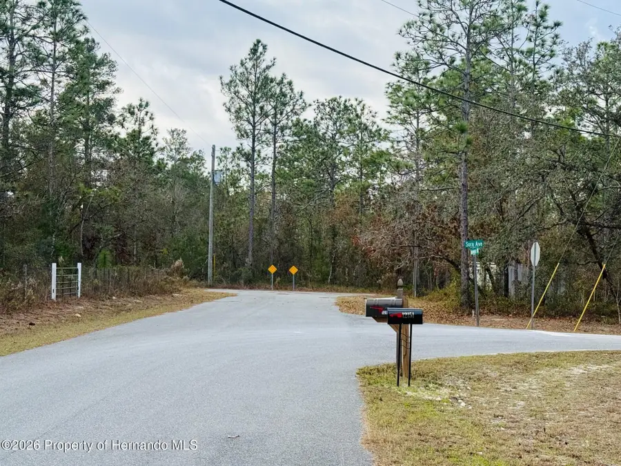 0 Barnevelde Road, Weeki Wachee, FL 34614 - Image #3