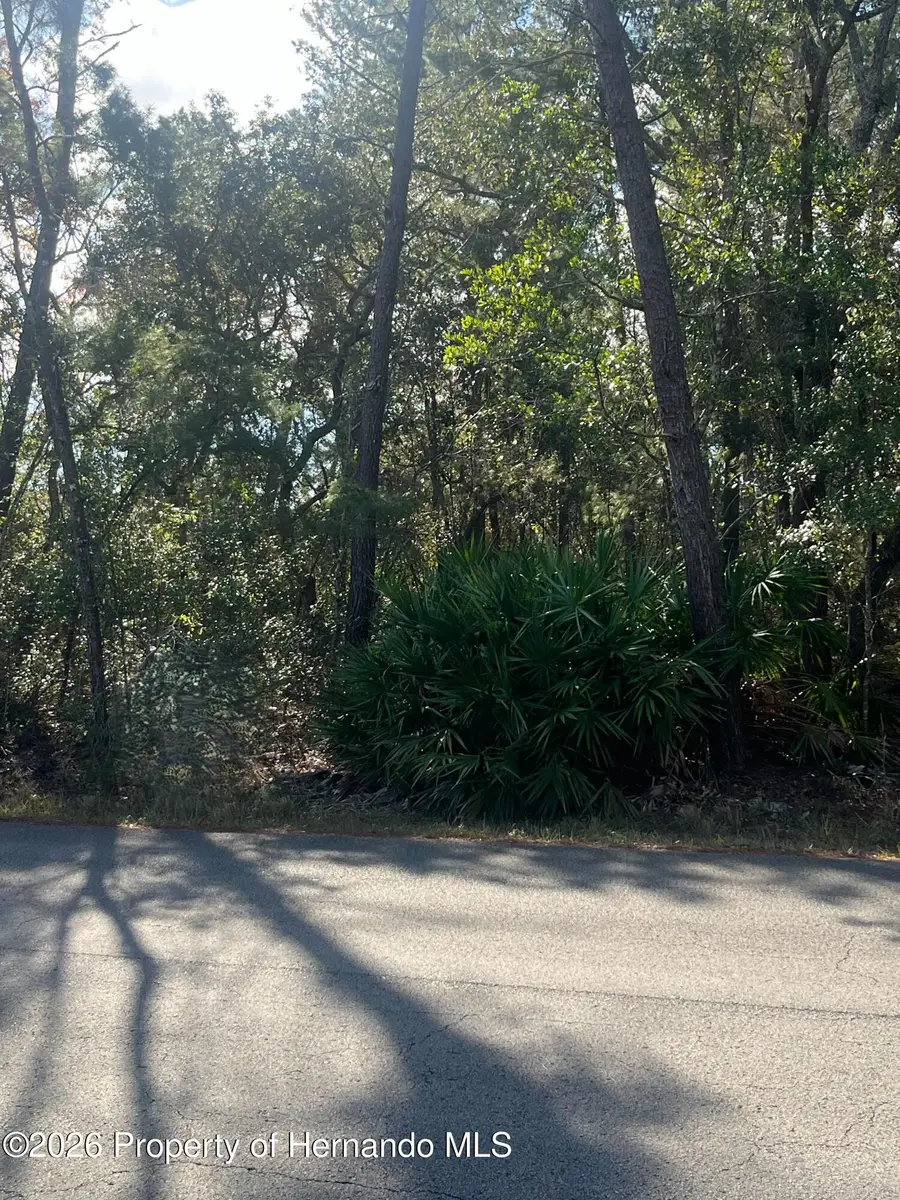 0 Yearling Avenue, Spring Hill, FL 34607 - Image #2