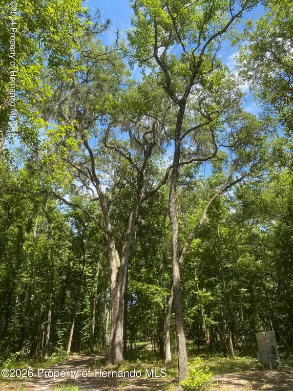 0 Snow Memorial Highway, Brooksville, FL 34601