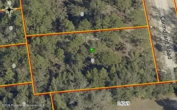 0 Cormorant Road, Weeki Wachee, FL 34614