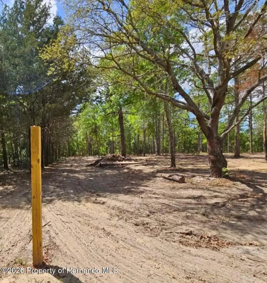 0 Cormorant Road, Weeki Wachee, FL 34614 - #3