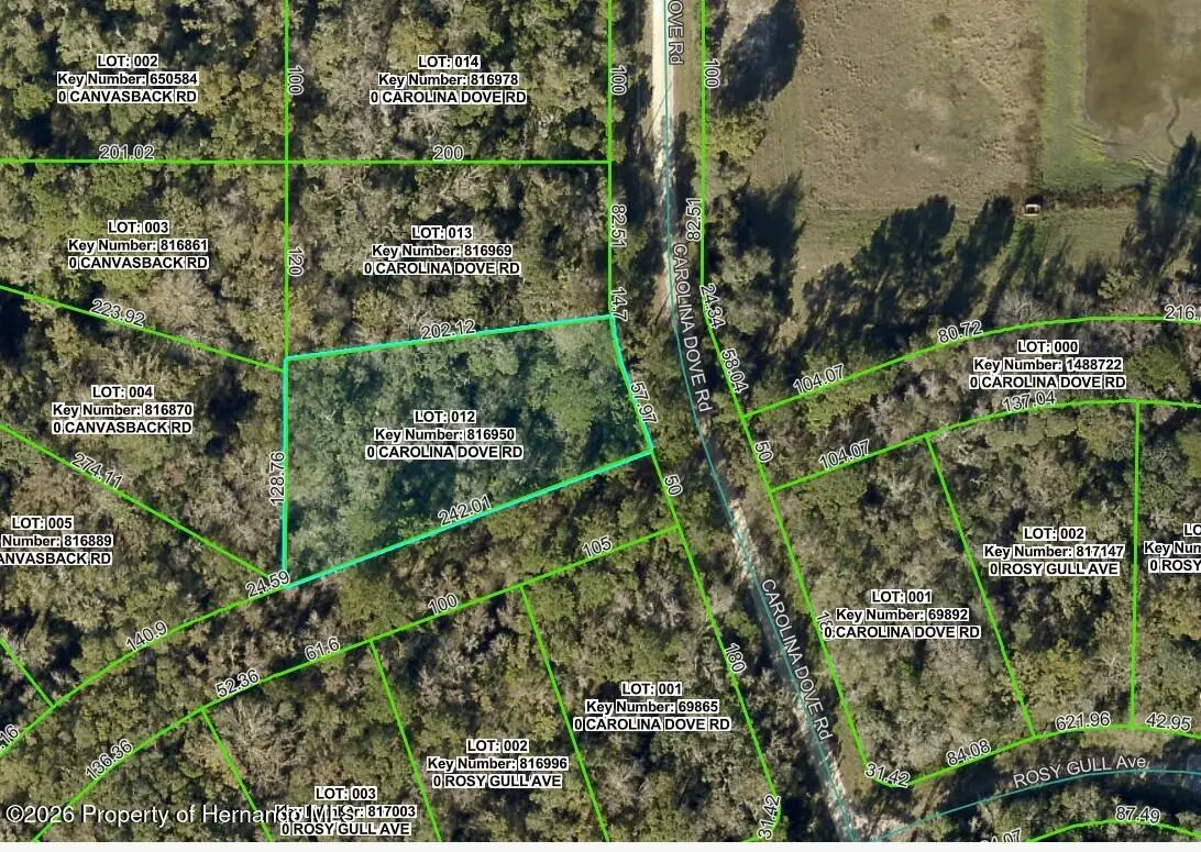 Lot 12 Carolina Dove Road, Weeki Wachee, FL 34614 - Image #1
