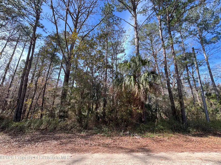 Lot 12 Carolina Dove Road, Weeki Wachee, FL 34614 - Image #2