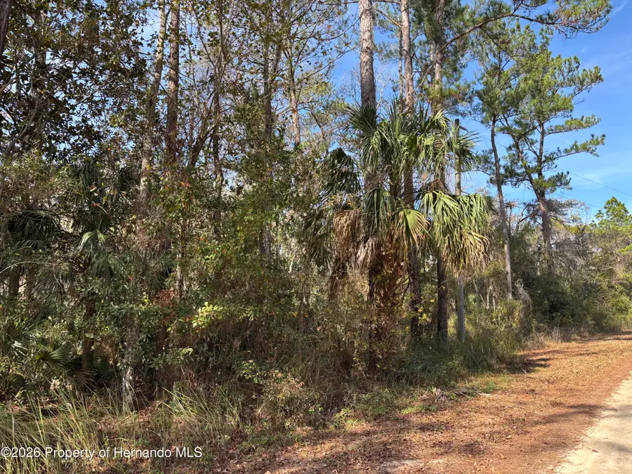 Lot 12 Carolina Dove Road, Weeki Wachee, FL 34614 - Image #3