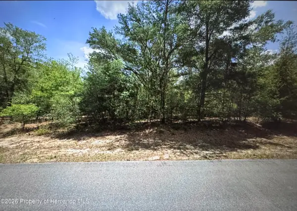 9807 N Pewter Avenue, Citrus Springs, FL 34434