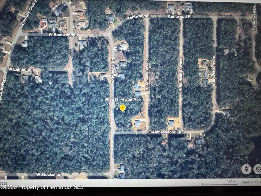 9807 N Pewter Avenue, Citrus Springs, FL 34434 - Image #3